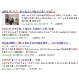 张店朱安安：SEO外链代发行业大揭密